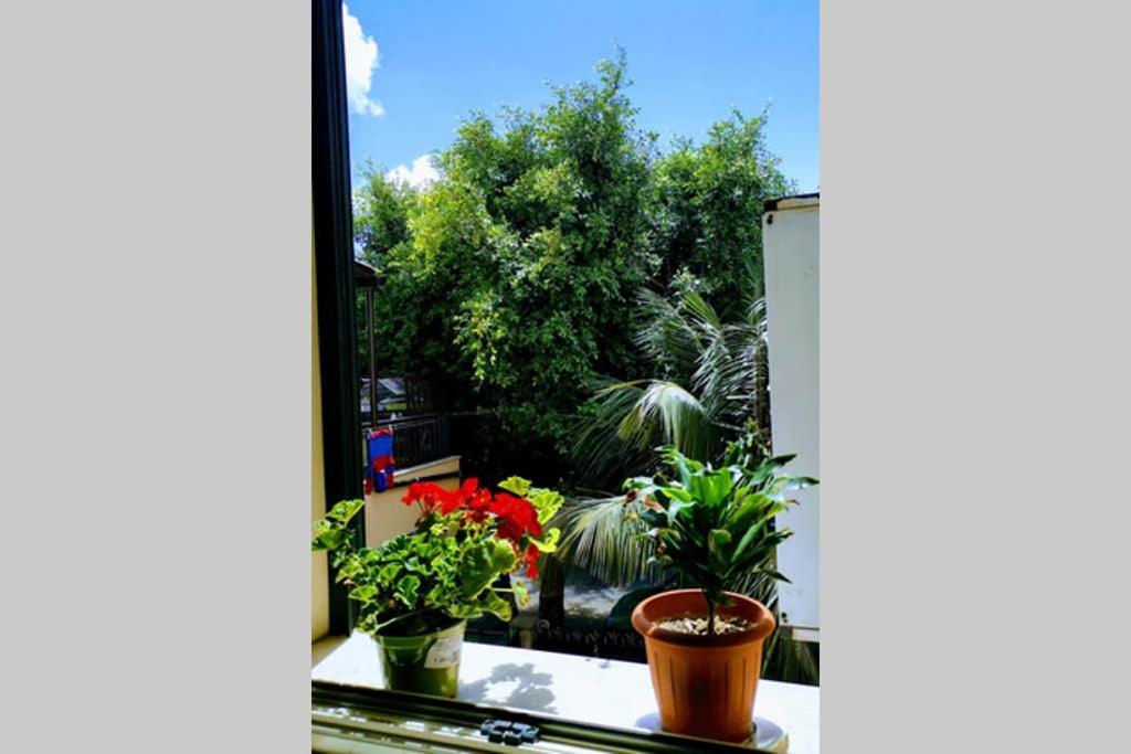 La Casetta Di Giuli Apartment Palermo Exterior photo